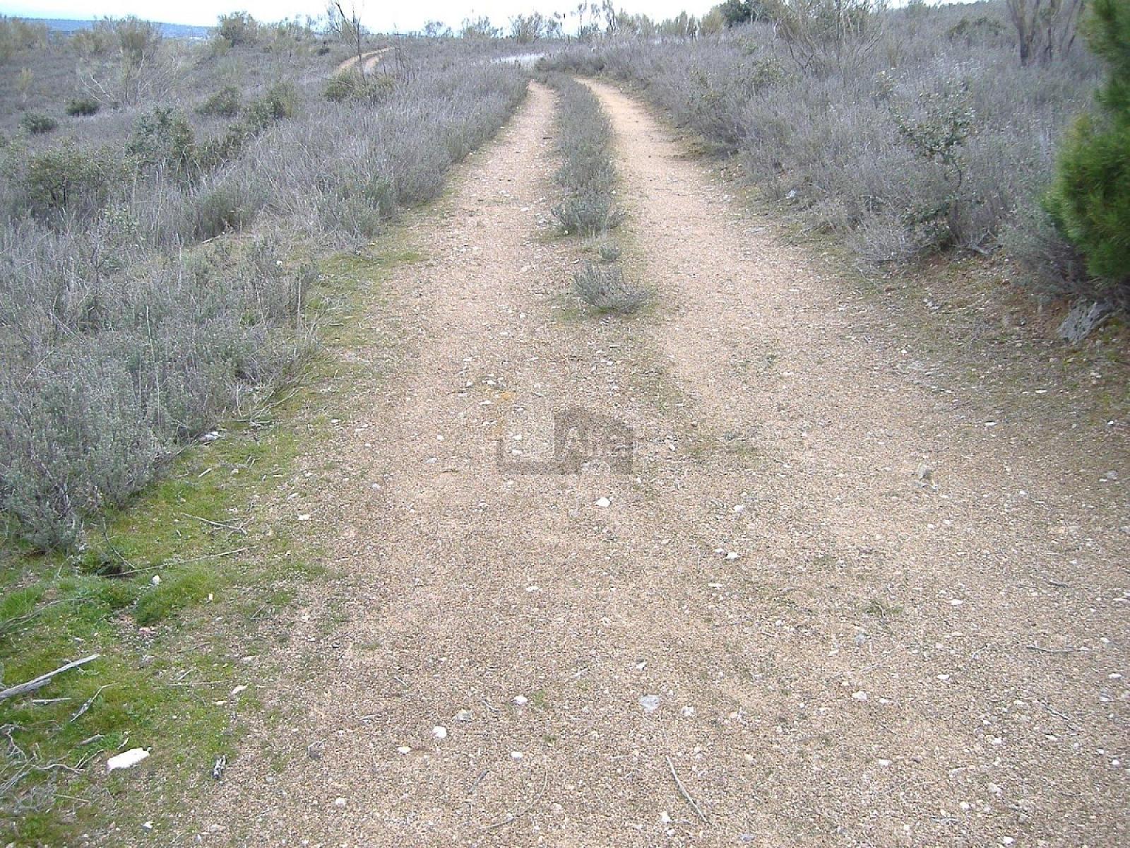 Vista de la propiedad 2