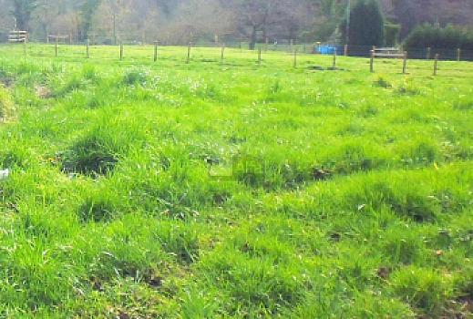 Urbanizable en venta en Siero, Siero, Asturias