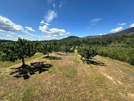 Casa rústica/finca rústica en venta en Ctra Torrecilla a Pinofranqueado, Torrecilla de los Angeles, Cáceres