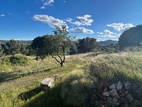 Casa rústica/finca rústica en venta en Urbanización, Navas del Rey, Madrid