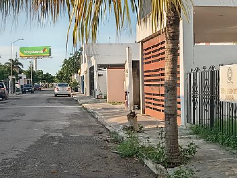 Vista de la propiedad 3