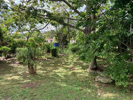 Terreno en Venta en Alfredo V. Bonfil, 5,000m2 Uso Comercial, Cancun Quintana Roo