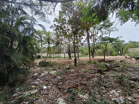 Terreno en Venta en Alfredo V. Bonfil, 5,000m2 Uso Comercial, Cancun Quintana Roo
