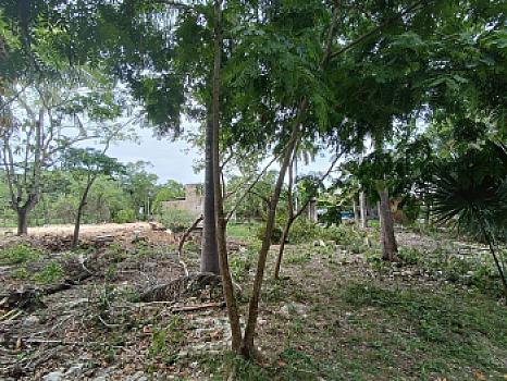 Terreno en Venta en Alfredo V. Bonfil, 5,000m2 Uso Comercial, Cancun Quintana Roo