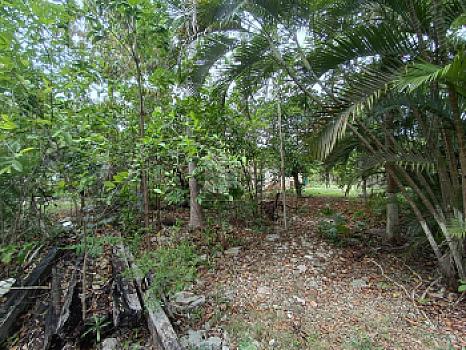 Terreno en Venta en Alfredo V. Bonfil, 5,000m2 Uso Comercial, Cancun Quintana Roo