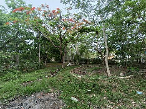 Terreno en Venta en Alfredo V. Bonfil, 5,000m2 Uso Comercial, Cancun Quintana Roo