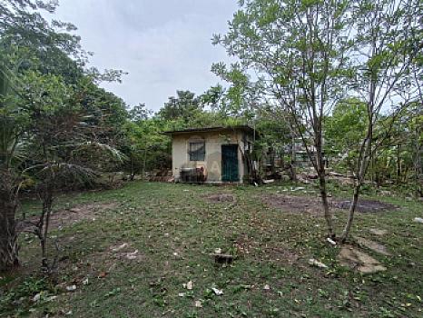 Terreno en Venta en Alfredo V. Bonfil, 5,000m2 Uso Comercial, Cancun Quintana Roo