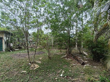 Terreno en Venta en Alfredo V. Bonfil, 5,000m2 Uso Comercial, Cancun Quintana Roo