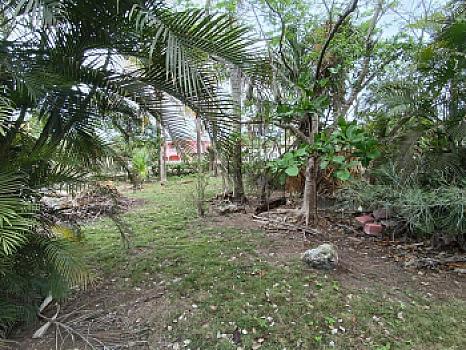 Terreno en Venta en Alfredo V. Bonfil, 5,000m2 Uso Comercial, Cancun Quintana Roo