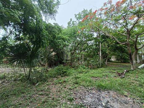 Terreno en Venta en Alfredo V. Bonfil, 5,000m2 Uso Comercial, Cancun Quintana Roo