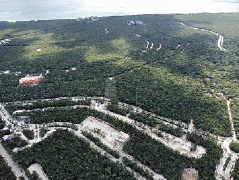 5 Terrenos en Venta en Selvazama, Tulum Quintana Roo