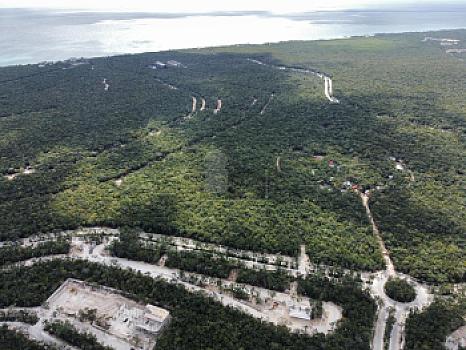 5 Terrenos en Venta en Selvazama, Tulum Quintana Roo