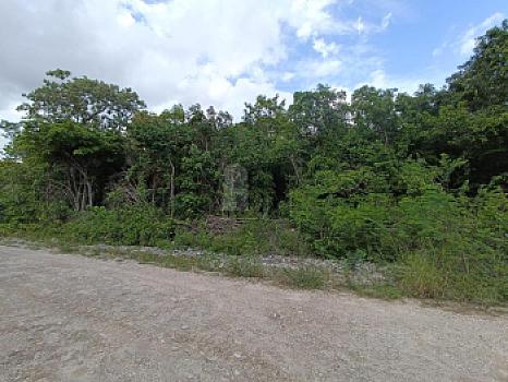 Land for Sale in Av Prolongación Av la Luna Huaycán zone Cancun