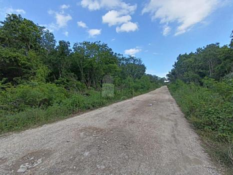 Land for Sale in Av Prolongación Av la Luna Huaycán zone Cancun