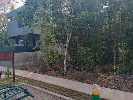 Terreno habitacional en venta en Paseo de la Selva 2, SMZ-326, Benito Juárez, Quintana Roo
