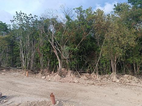 Terreno Comercial Venta Residencial Altai, Cancún