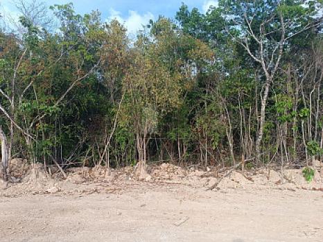 Terreno Comercial Venta Residencial Altai, Cancún