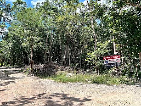 3 Terrenos en Venta en zona Holistika, Region 10, Tulum, Quintana Roo
