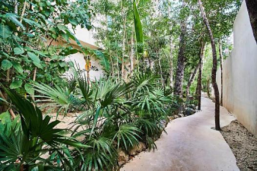 3 Terrenos en Venta en zona Holistika, Region 10, Tulum, Quintana Roo