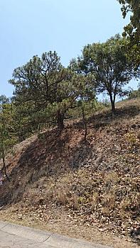 TERRENO EN VENTA | DIANA NATURA | VISTAS PANORAMICAS