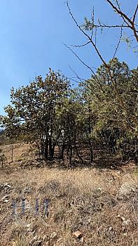 TERRENO EN VENTA | DIANA NATURA | VISTAS PANORAMICAS