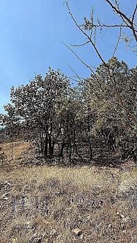 TERRENO EN VENTA | DIANA NATURA | VISTAS PANORAMICAS