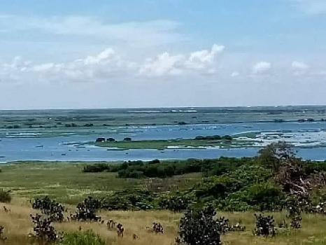 Terreno a pié de carretera y río 25.74 hectáreas municipio de Alvarado Veracruz México