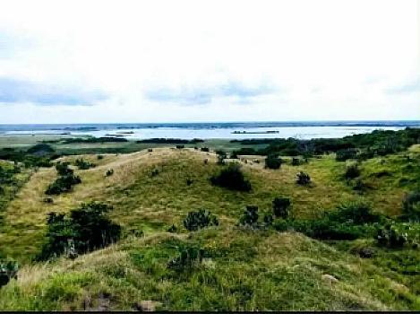 Terreno a pié de carretera y río 25.74 hectáreas municipio de Alvarado Veracruz México