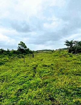 Terreno a pié de carretera y río 25.74 hectáreas municipio de Alvarado Veracruz México