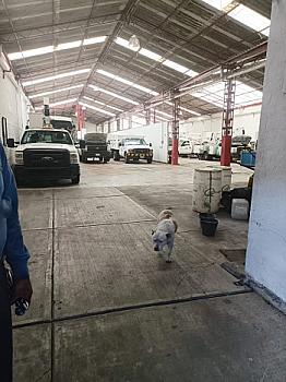 VENTA- BODEGA AV. CEYLAN INDUSTRIAL VALLEJO