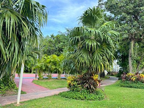 Casa Nueva en Venta en Arbolada con amenidades y sobre Av Huayacan