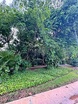 Casa Nueva en Venta en Arbolada con amenidades y sobre Av Huayacan