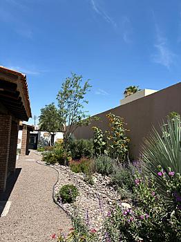 HERMOSA CASA DE ADOBE DE UN SOLO NIVEL