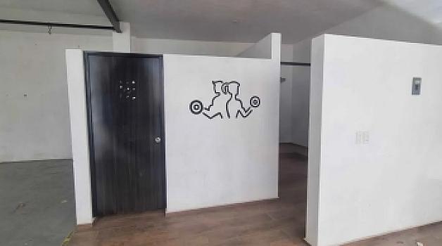 COMMERCIAL PREMISES FOR RENT | 314 m² Plaza Hacienda Copala | Upper Floor