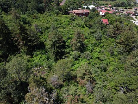 Terreno de 13,890 m2 sobre carretera frente a lago de Pátzcuaro