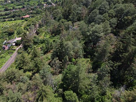 Terreno de 13,890 m2 sobre carretera frente a lago de Pátzcuaro