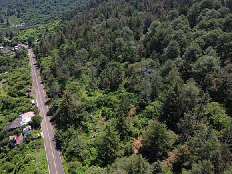 Terreno de 13,890 m2 sobre carretera frente a lago de Pátzcuaro
