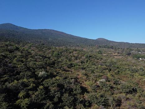 5 hectáreas en Cuanajillo el Grande muy cerca de nuevo libramiento