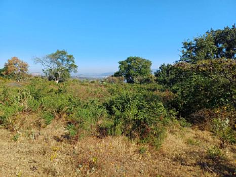 5 hectáreas en Cuanajillo el Grande muy cerca de nuevo libramiento