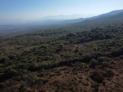 5 hectáreas en Cuanajillo el Grande muy cerca de nuevo libramiento
