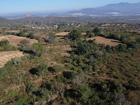 5 hectáreas en Cuanajillo el Grande muy cerca de nuevo libramiento