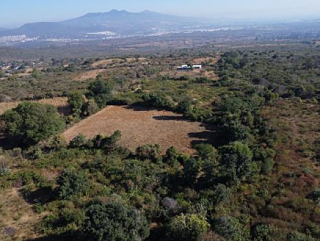 5 hectáreas en Cuanajillo el Grande muy cerca de nuevo libramiento