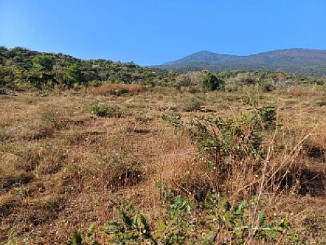 5 hectáreas en Cuanajillo el Grande muy cerca de nuevo libramiento