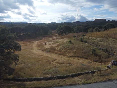 Se vende terreno escriturado de 3.6 hectáreas sobre la carretera rumbo a Joyitas