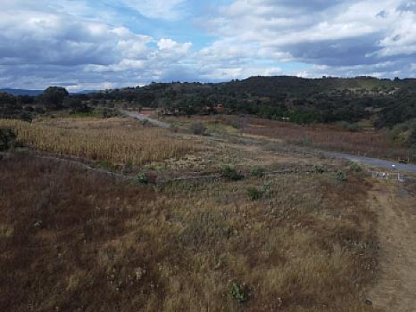 Se vende terreno escriturado de 3.6 hectáreas sobre la carretera rumbo a Joyitas