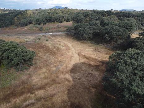 Se vende terreno escriturado de 3.6 hectáreas sobre la carretera rumbo a Joyitas