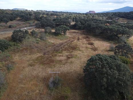 Se vende terreno escriturado de 3.6 hectáreas sobre la carretera rumbo a Joyitas