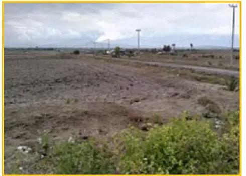 PREDIO ZUMPANGO SANTA LUCIA 2,500 HA