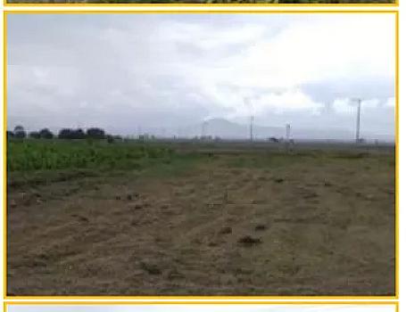 PREDIO ZUMPANGO SANTA LUCIA 2,500 HA