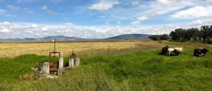 PREDIO ZUMPANGO SANTA LUCIA 2,500 HA